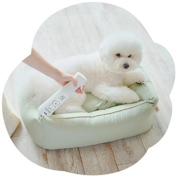 白犬が寝転んでいるペット用ベッドにマイクロミストスプレーを吹きかけている写真