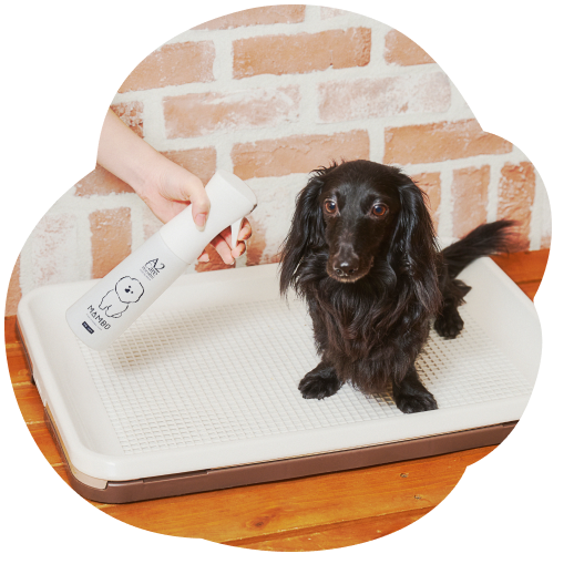 黒犬が座っているペット用トイレにマイクロミストスプレーを吹きかけている写真