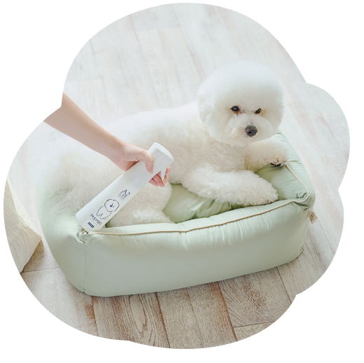 白犬が寝転んでいるペット用ベッドにマイクロミストスプレーを吹きかけている写真