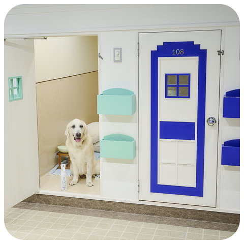 玄関口に座る白犬と、そのそばにマイクロミストスプレーが置かれている写真