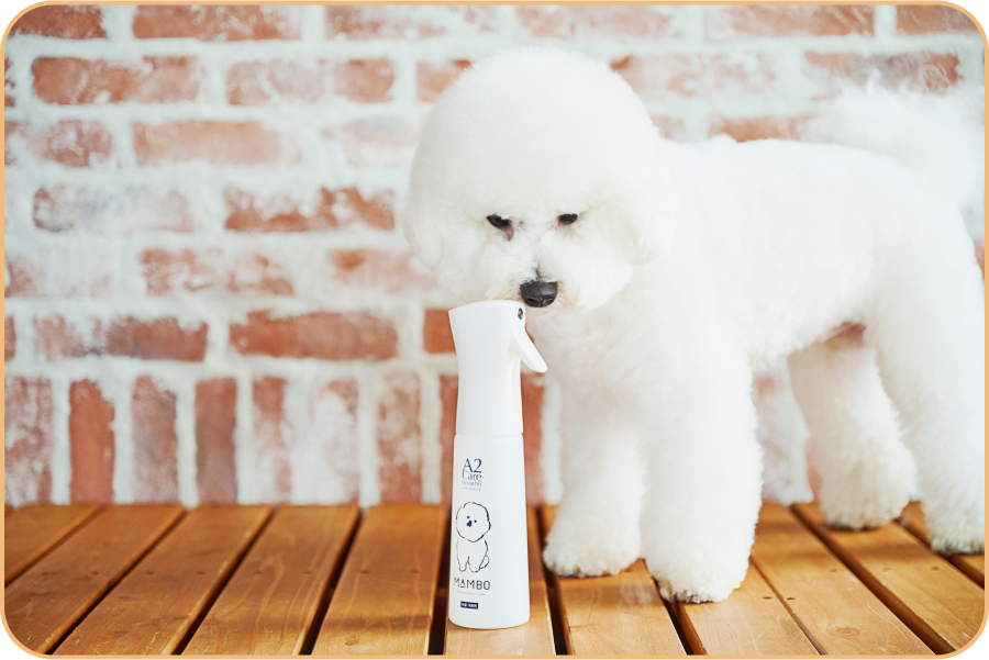 マイクロミストスプレーの匂いを嗅ぐ白犬の写真