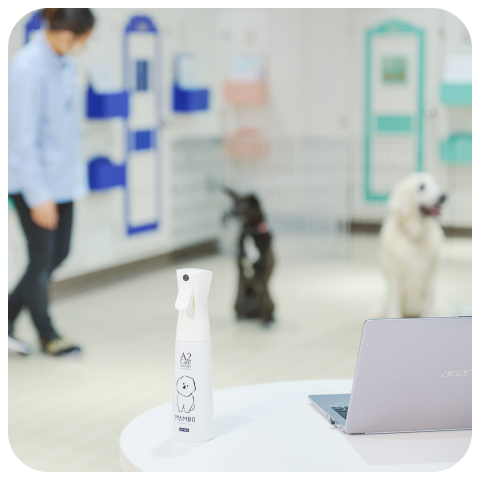 WANCOTT施設のペットホテルで過ごすスタッフと犬、そして手前にマイクロミストスプレーが置いてある写真